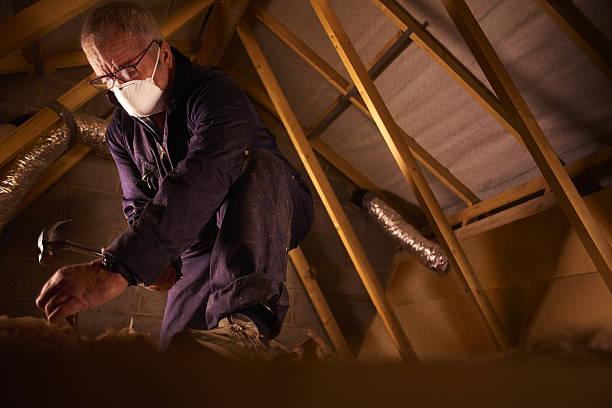 Best Eco-Friendly Insulation in Bessemer City, NC